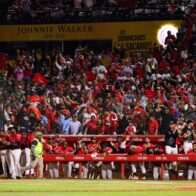 Leones del Escogido begin sale and renewal of season tickets for the 2026-27 season | De Último Minuto English