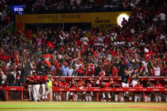 Leones del Escogido begin sale and renewal of season tickets for the 2026-27 season | De Último Minuto English