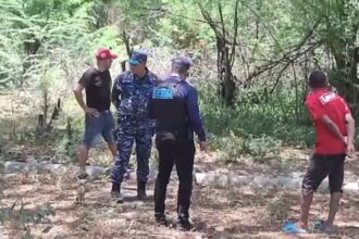 Body in advanced state of decomposition found in bushes in Santiago | De Último Minuto English