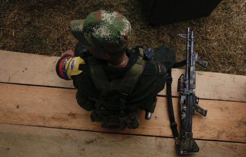 At least 11 of 48 dead found in a combat zone in Colombia were minors | De Último Minuto English