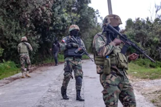 The Gang Suppression Force in Haiti attacks the territory of a gang leader | De Último Minuto English