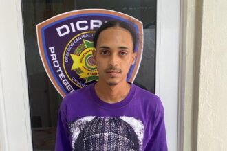 "Marinito" captured for the homicide of "La China" in Santiago; a fourth suspect is being sought | De Último Minuto English