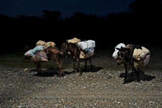 Contraband transported by mules seized in the border area of Elías Piña | De Último Minuto English