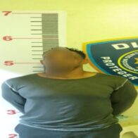 "National Police seize blank-firing gun during preventive intervention in La Vega" | De Último Minuto English
