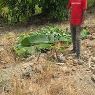 Man reported missing in Salcedo found dead | De Último Minuto English