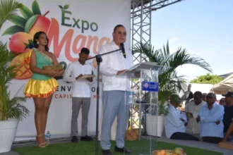 Agriculture estimates exports of up to 10 million boxes of mangoes in 2026 | De Último Minuto English