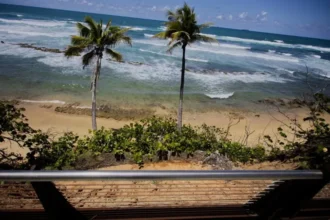 "United States issues a tsunami warning for part of the Caribbean following a 7.1 magnitude earthquake in Venezuela" | De Último Minuto English