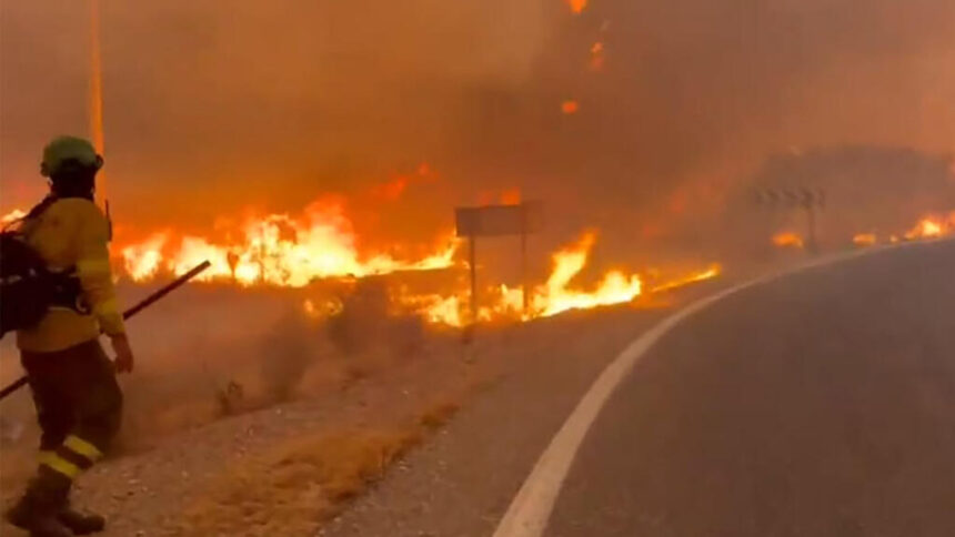 They hope to control the fire in Andalusia that caused 13 deaths this Monday | De Último Minuto English