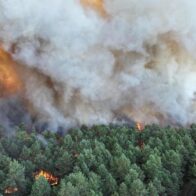 Seventh suspect arrested for the Fontainebleau fires, southeast of Paris | De Último Minuto English