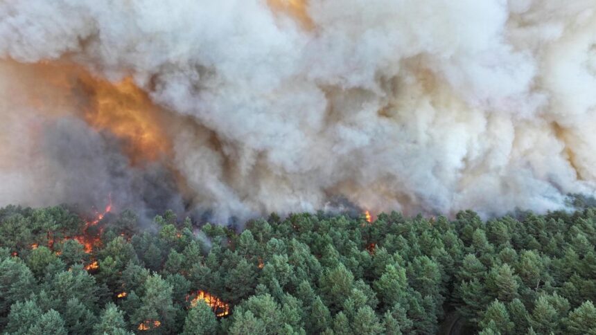 Seventh suspect arrested for the Fontainebleau fires, southeast of Paris | De Último Minuto English
