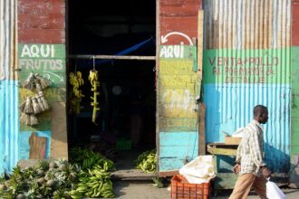 FAO congratulates Dominican Republic for exiting global hunger map