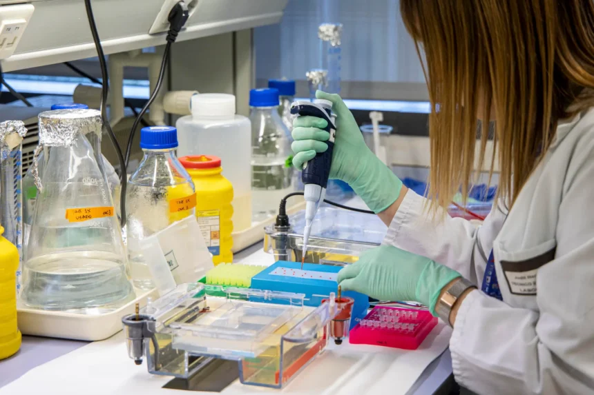 WHO: More than 90% of the world's population will be affected by cancer in some way | De Último Minuto English