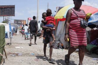 Haiti records more than 5,500 sexual violence cases in the first half of 2026, UN says | De Último Minuto English