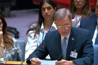 DR asks the UN to accelerate anti-gang mission in Haiti | De Último Minuto English