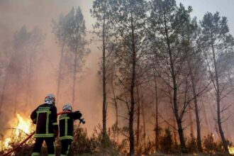 Massive wildfire near Bordeaux forces 220,000 evacuations in France