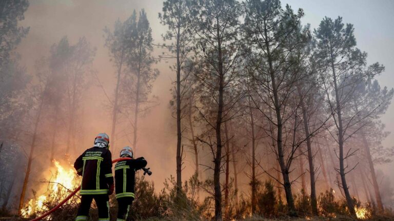 Massive wildfire near Bordeaux forces 220,000 evacuations in France
