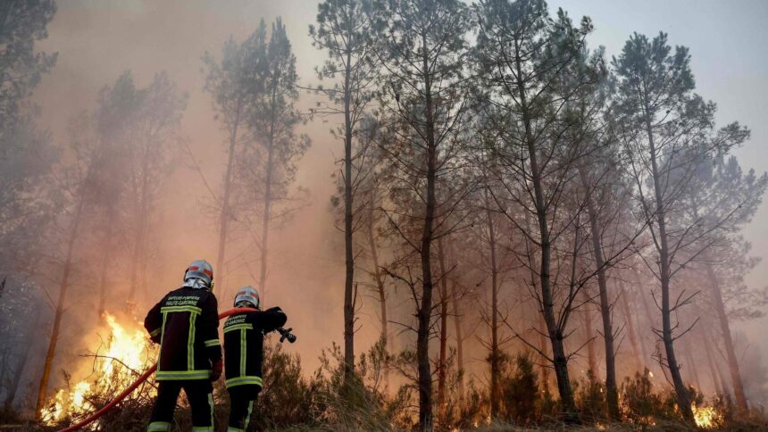 Massive wildfire near Bordeaux forces 220,000 evacuations in France