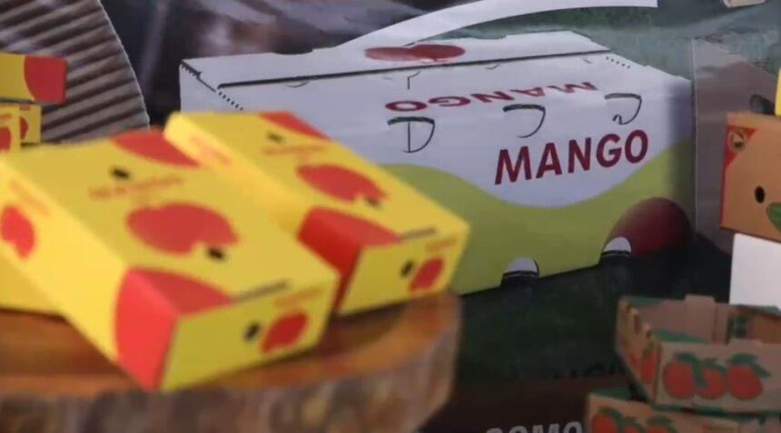 Agriculture strengthens phytosanitary measures to boost mango exports to Europe and the US | De Último Minuto English