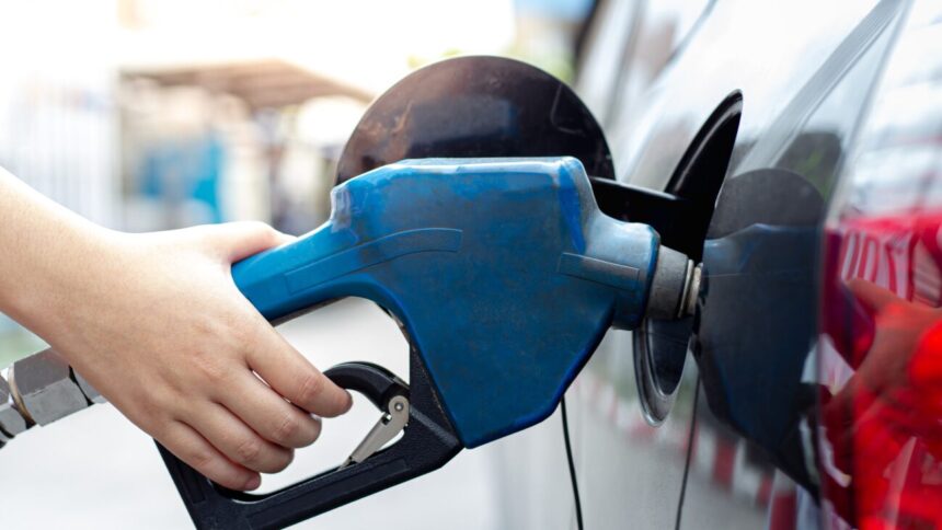 Government freezes prices of main fuels | De Último Minuto English