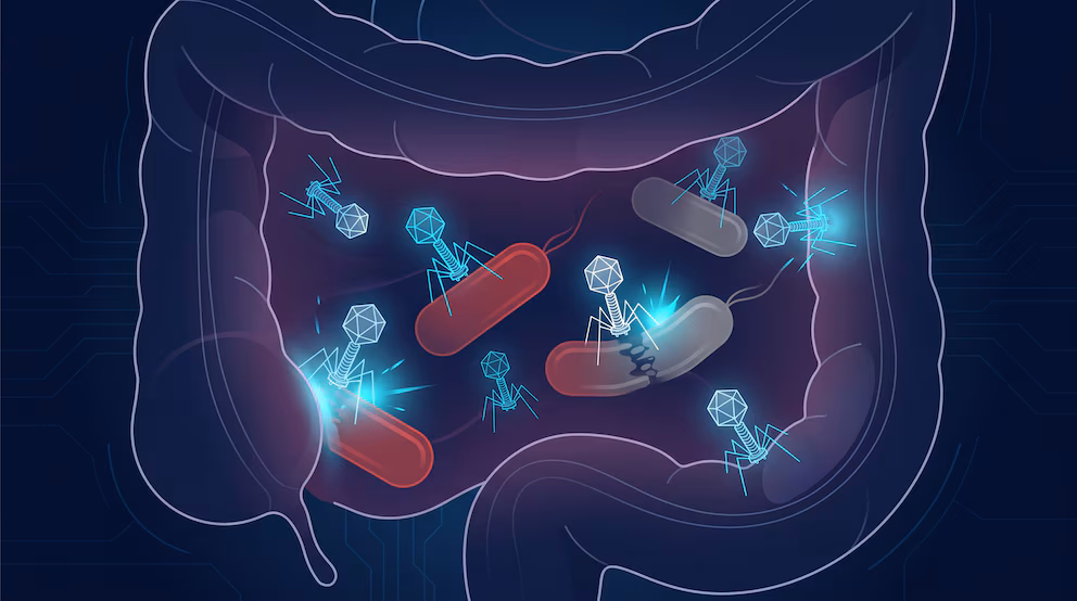 A virus that “pulls out the teeth” of harmful bacteria opens a new path against intestinal inflammation | De Último Minuto English
