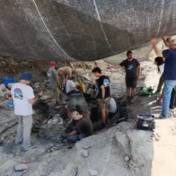 Fossil remains found in Igea point to an undescribed dinosaur species | De Último Minuto English