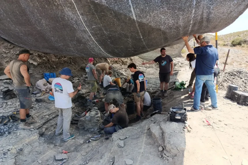 Fossil remains found in Igea point to an undescribed dinosaur species | De Último Minuto English
