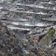 Science and wildfires: CSIC experts provide advice on the evolution of fire | De Último Minuto English