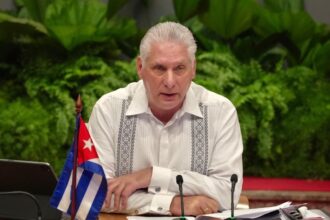 Cuban President Díaz-Canel says investment interest extends beyond the United States | De Último Minuto English