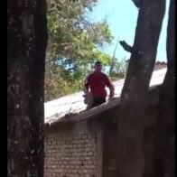 Inmates climb prison roof during riot in attempted escape in Colombia | De Último Minuto English