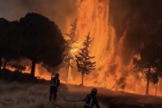 Spain faces one of its worst wildfire crises in decades | De Último Minuto English