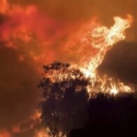 Massive wildfire forces evacuations along Italy’s Gallipoli coast | De Último Minuto English