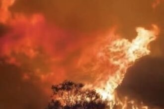 Massive wildfire forces evacuations along Italy’s Gallipoli coast | De Último Minuto English