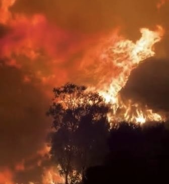 Massive wildfire forces evacuations along Italy’s Gallipoli coast | De Último Minuto English