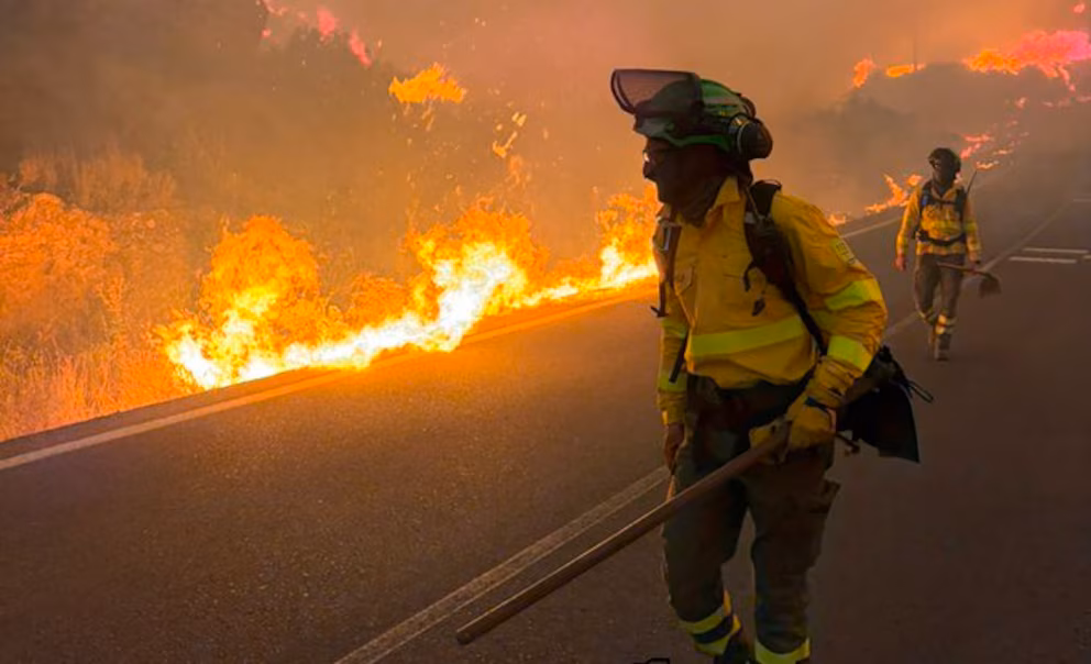 At least twelve dead and mass evacuations due to the Los Gallardos fire in Almería | De Último Minuto English