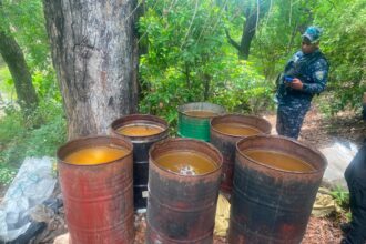 Clandestine factory with more than 25 thousand liters of adulterated alcohol dismantled in Azua | De Último Minuto English