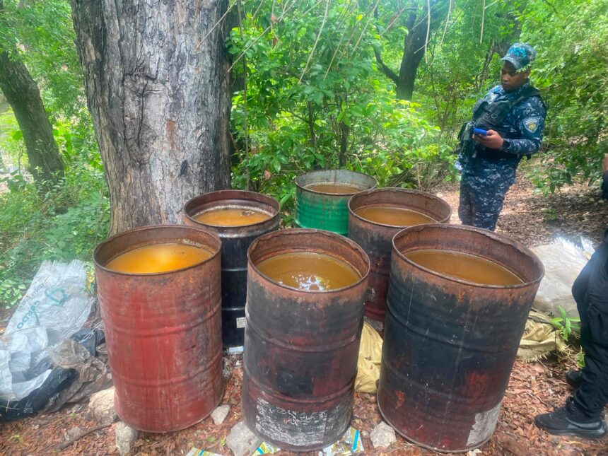 Clandestine factory with more than 25 thousand liters of adulterated alcohol dismantled in Azua | De Último Minuto English