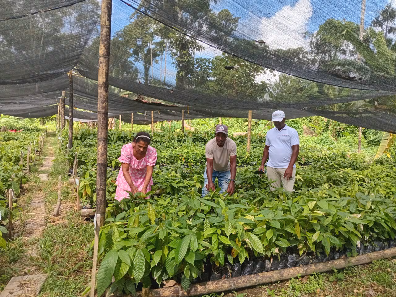 UNDP highlights that the DR advanced in the SDGs despite the challenges of the first half of 2026 | De Último Minuto English
