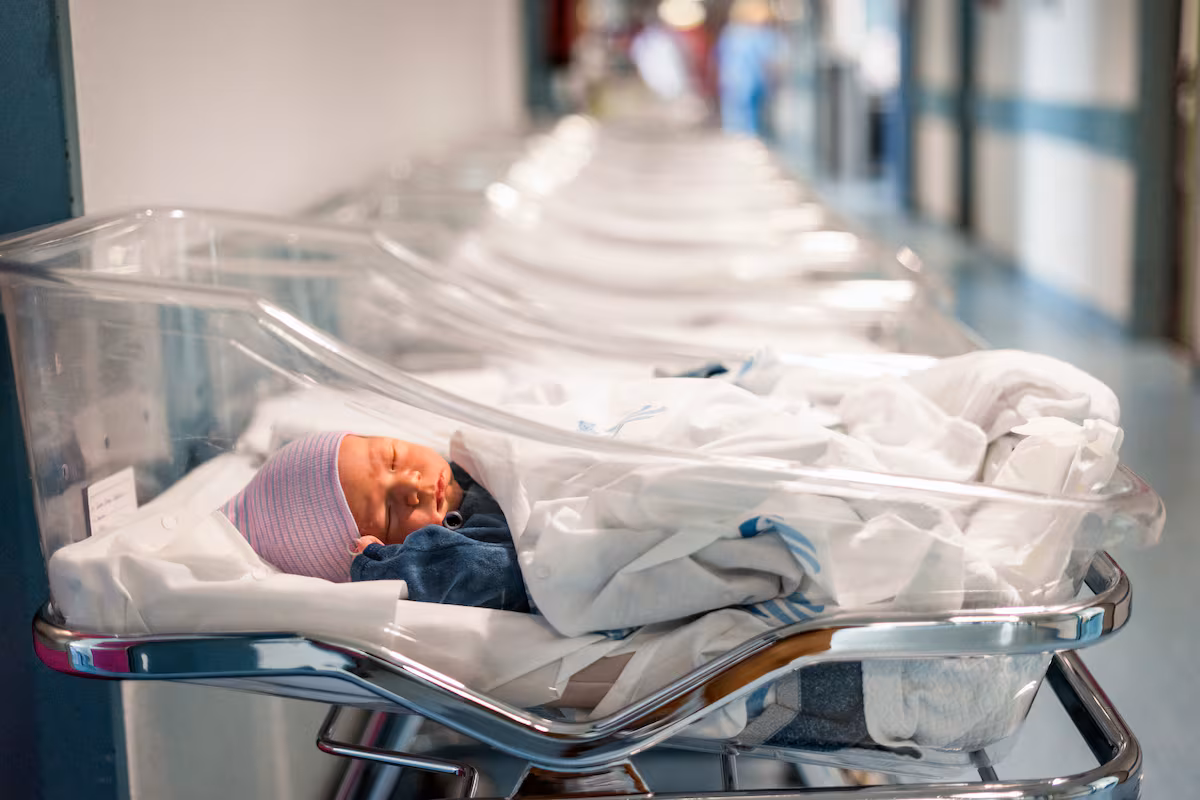 Bodies of five newborns found in a French home; a couple is under investigation | De Último Minuto English