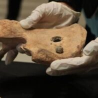 Italy returns a batch of 27 pre-Columbian archaeological pieces and fossils to Mexico | De Último Minuto English