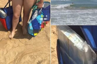 Beachgoers find more than $800,000 floating off Italian coast