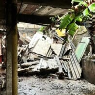 Deadly storms and 100 km/h winds leave five dead in Brazil