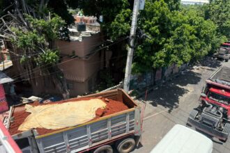 Residents in Quita Sueño, Haina, urgently request intervention on the road due to constant accidents | De Último Minuto English
