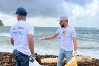 Progressive Youth Foundation mobilizes more than 1,300 volunteers in national coastal cleanup day | De Último Minuto English