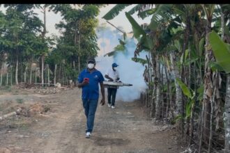 DPS Sánchez Ramírez carries out fumigation in Guardianon of the Zambrana Municipal District | De Último Minuto English