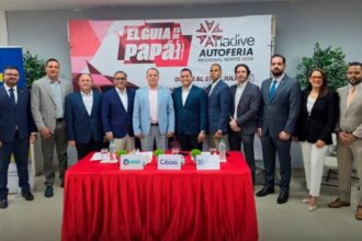 ANADIVE observes a slight activation of the vehicle market in relation to the first quarter | De Último Minuto English