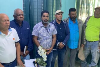 Dajabón rice producers report difficulties due to immigration operations and request dialogue with authorities | De Último Minuto English