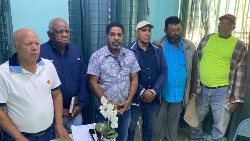 Dajabón rice producers report difficulties due to immigration operations and request dialogue with authorities | De Último Minuto English