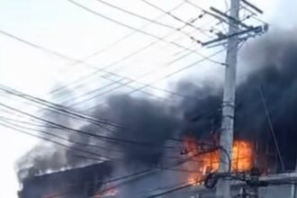 Emergency on Isabel Aguiar: fire at a Chinese business mobilizes firefighters in Santo Domingo Oeste | De Último Minuto English
