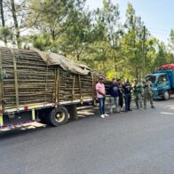 Army seizes shipment of timber without legal documentation in Santiago | De Último Minuto English
