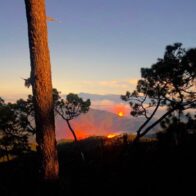 Helicopter mobilizes brigade members to fight forest fire in Armando Bermúdez National Park | De Último Minuto English